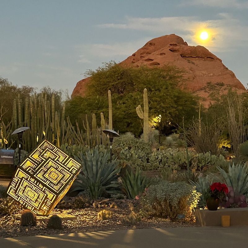 Plants & People Of The Sonoran Desert Loop: Cultural Connections