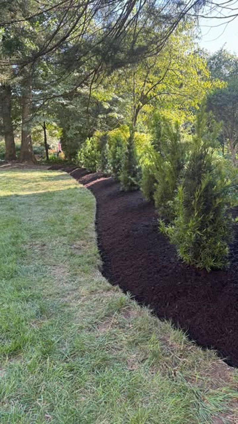 Privacy Hedges Over Six Feet