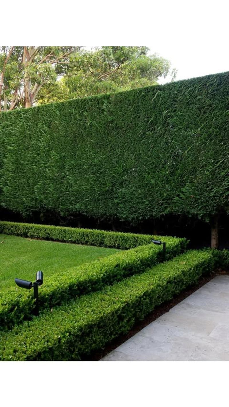 Non-Native Hedges