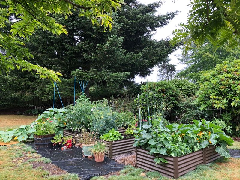 Raised Garden Beds