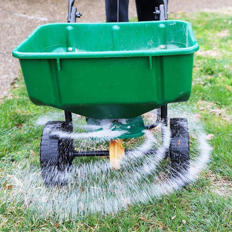 Fertilizing At The Wrong Time Of Day