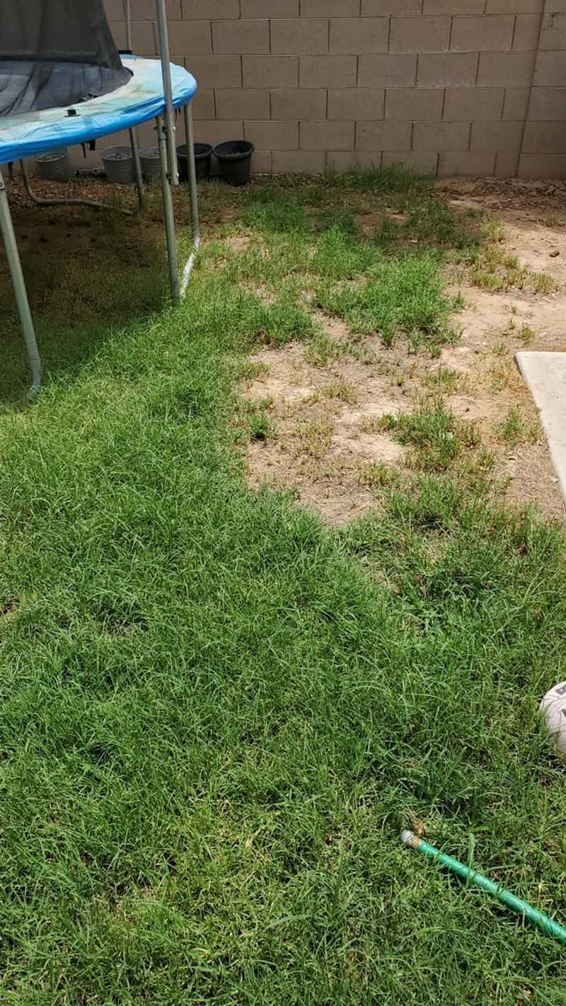 Ignoring Soil pH