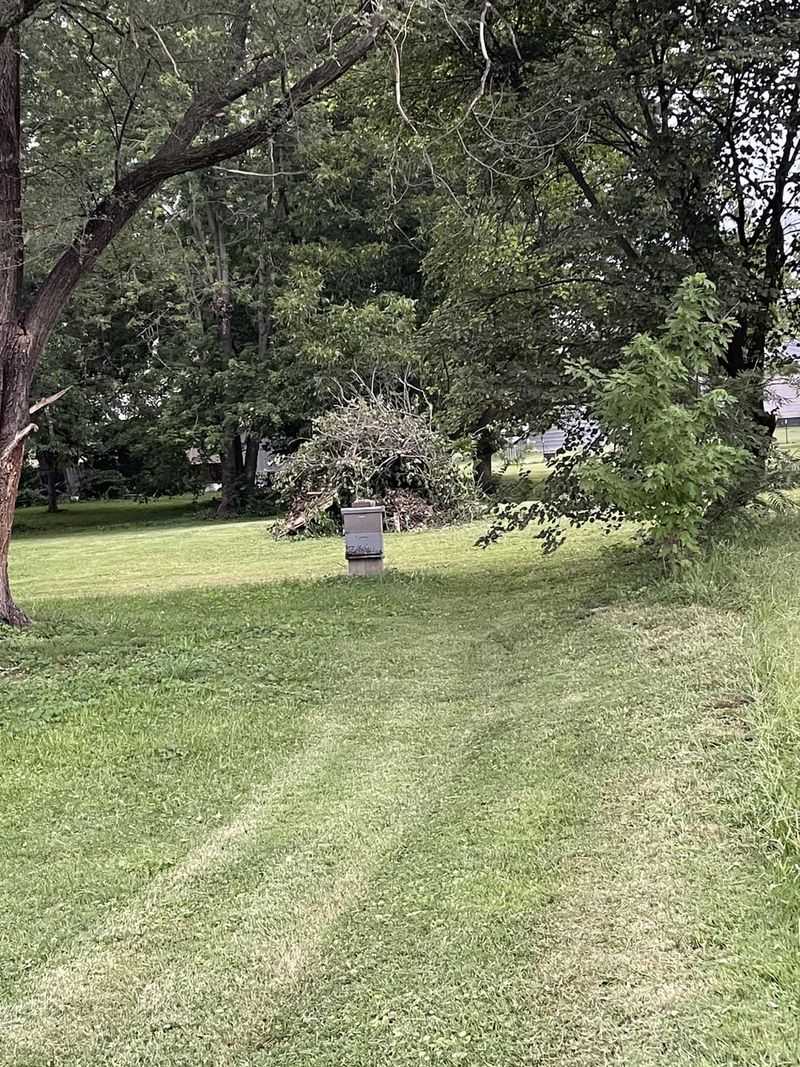 Inconsistent Mowing Schedule