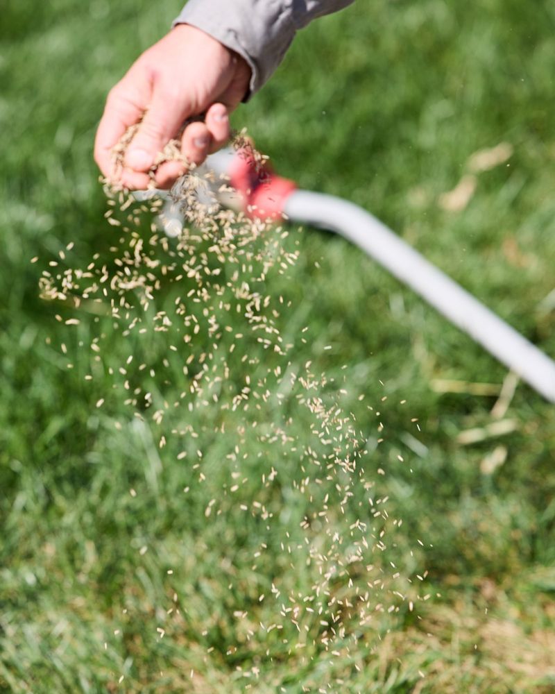 Skipping Overseeding Windows