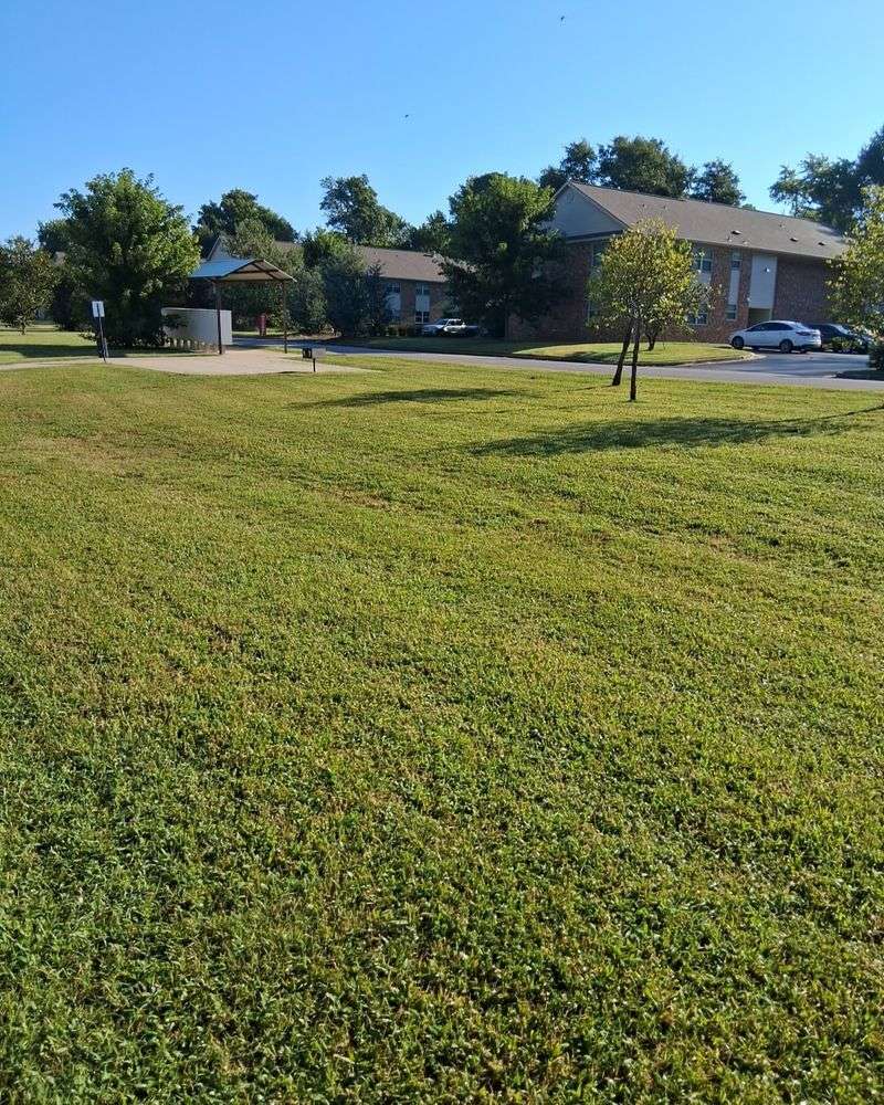 Using Dull Mower Blades