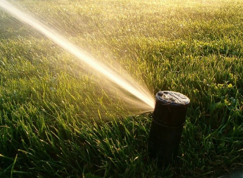 Check Irrigation Systems