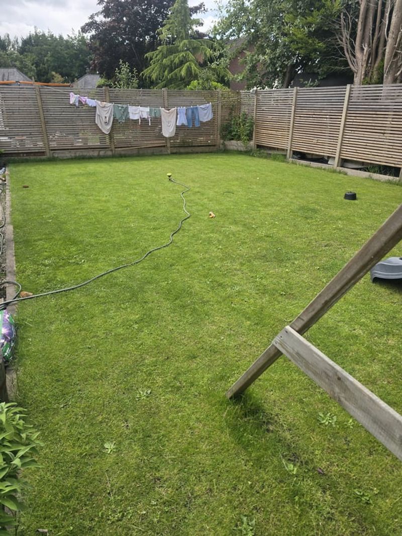 Neglecting Weed Control