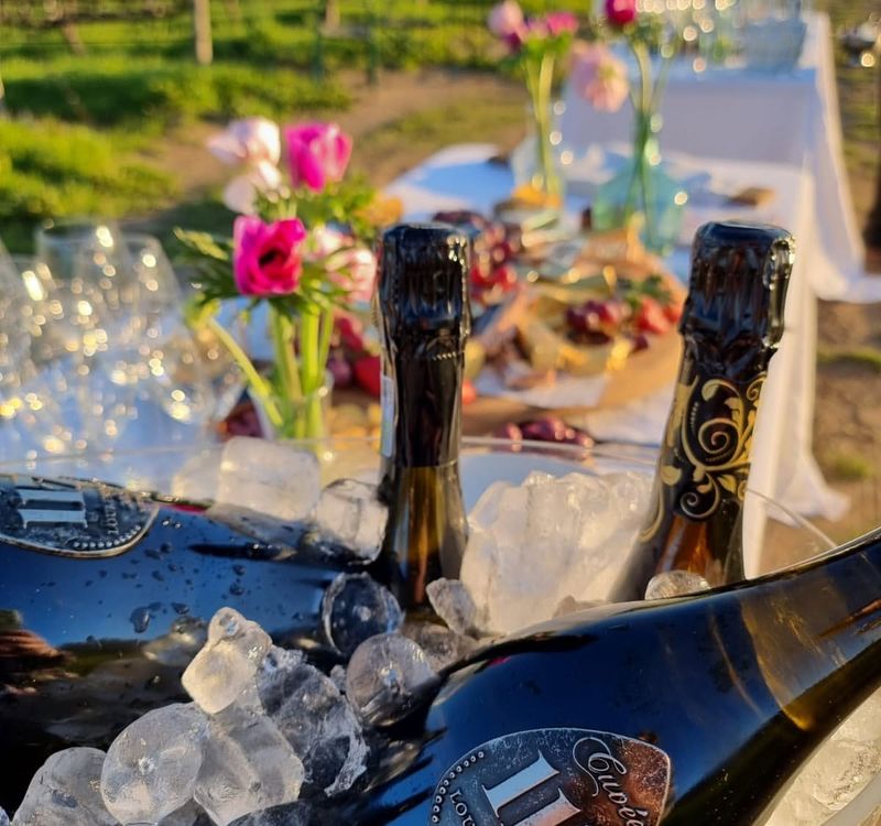 Somerset's Portuguese Wine Garden Fiesta