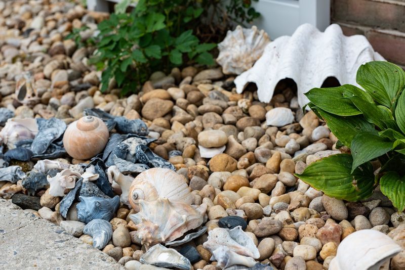 Native Mussel Shell Borders