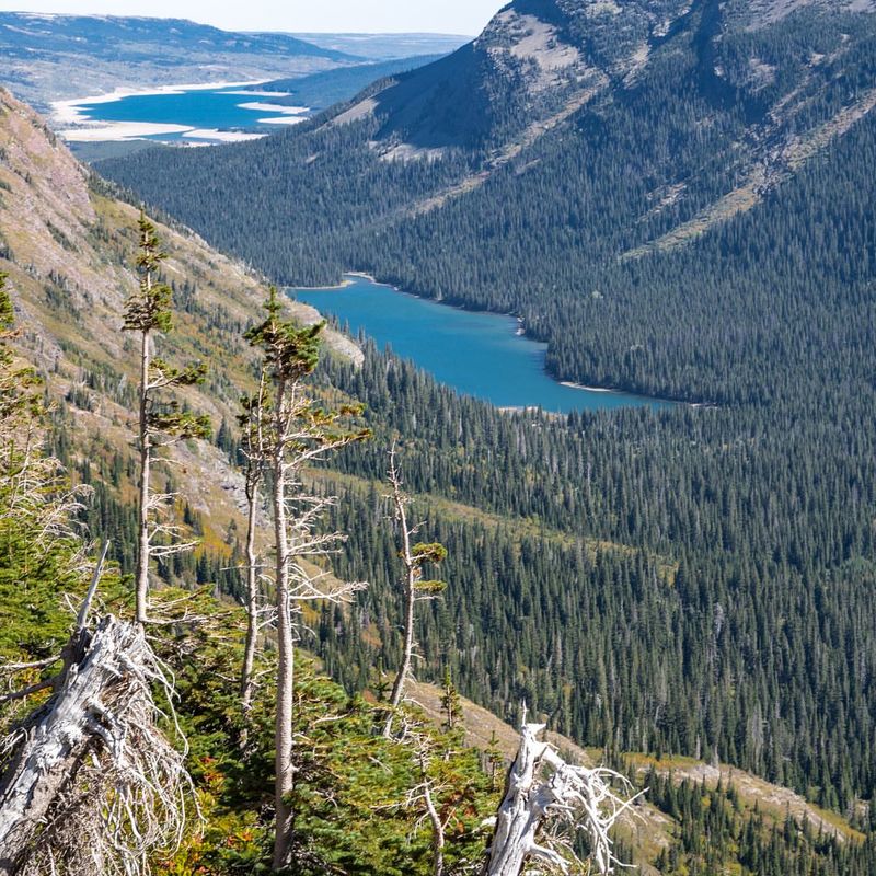 Glacier Creek Wilderness Path