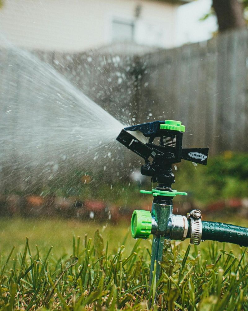 Watering At High Noon