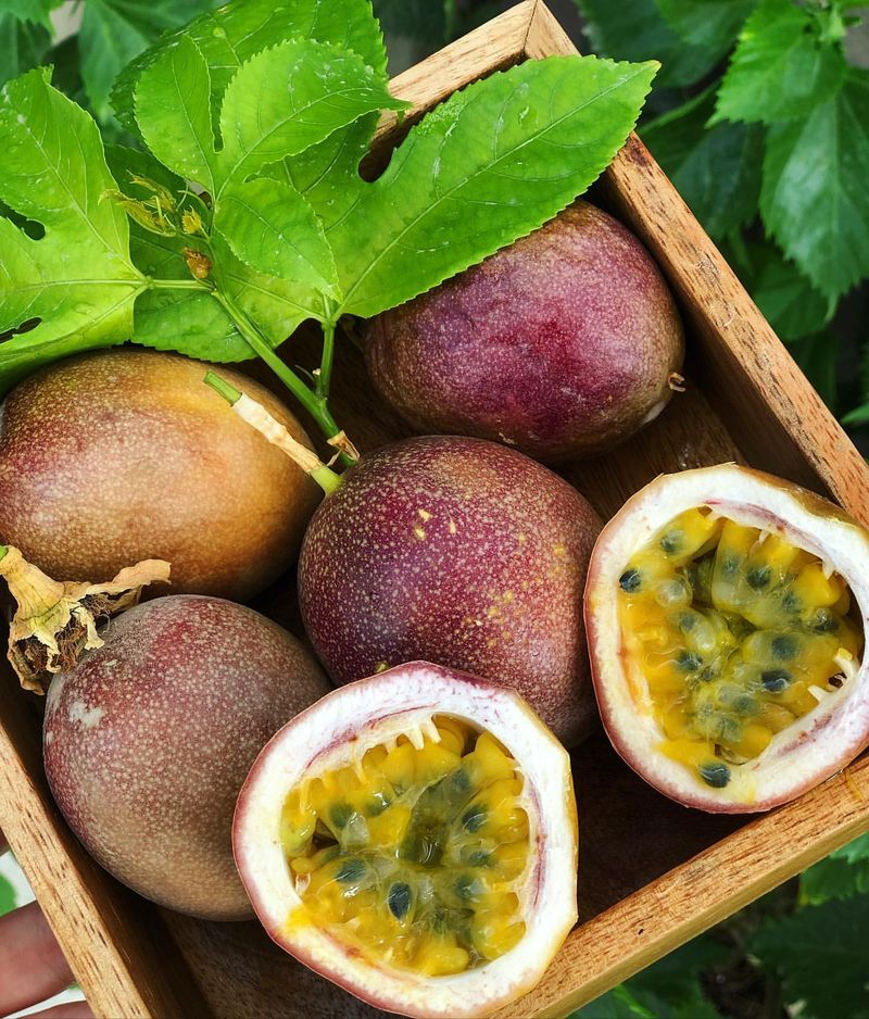 Passion Fruit Potential