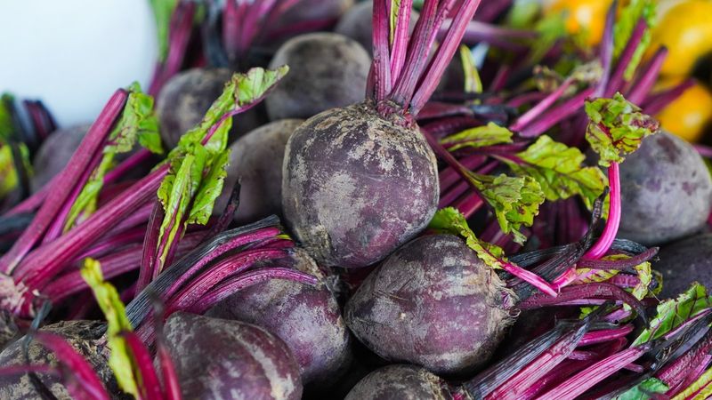 Miniature Root Vegetable Display