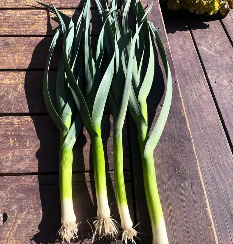 Leeks