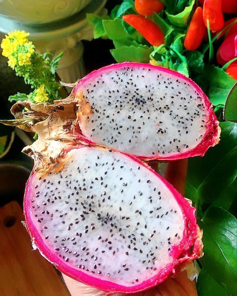 Dragon Fruit Delights