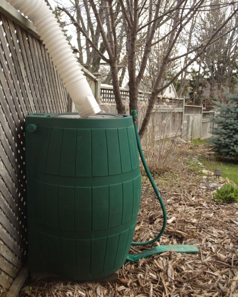 Rain Barrel System