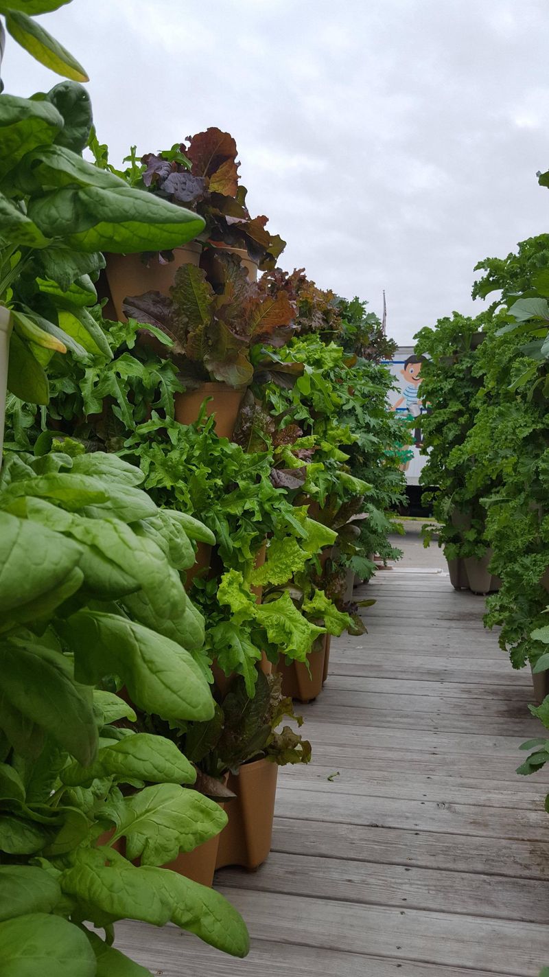 Zone-Based Planting