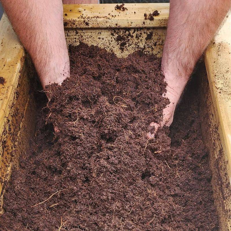 Coconut Coir As A Soil Alternative