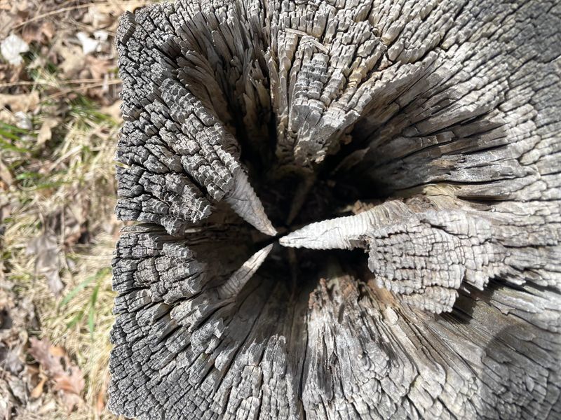 Hollow Areas You Can See Through