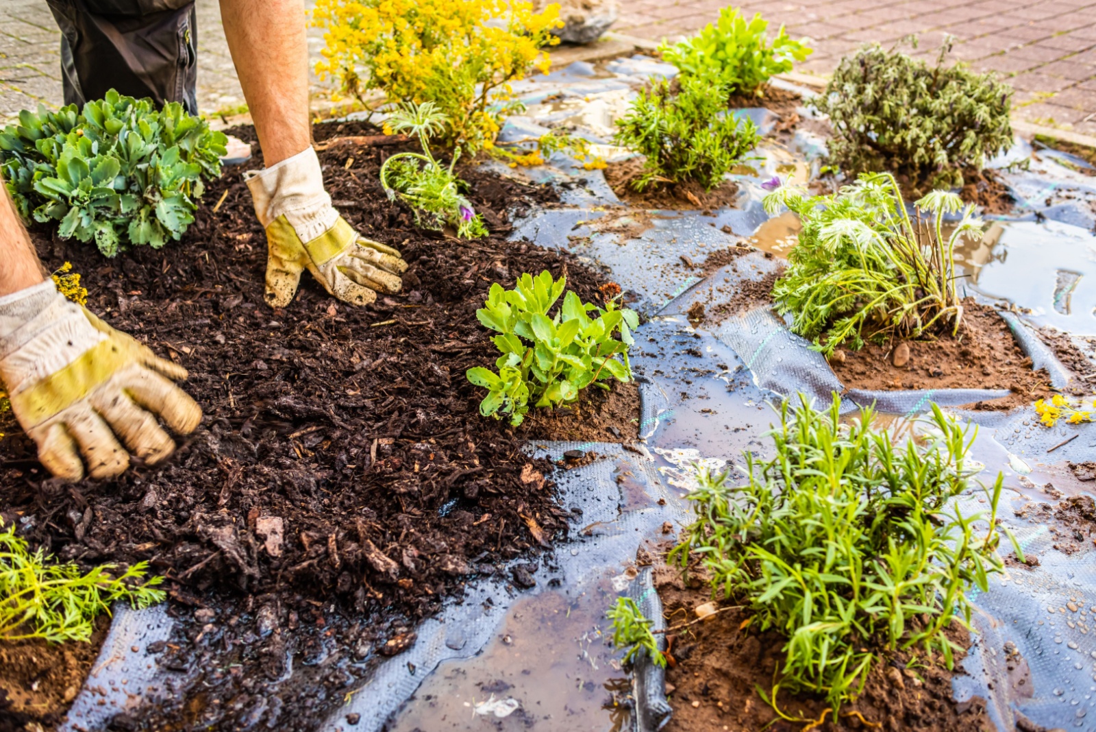 Pennsylvania Gardeners Reveal The Truth About Pulling Weeds Before Winter