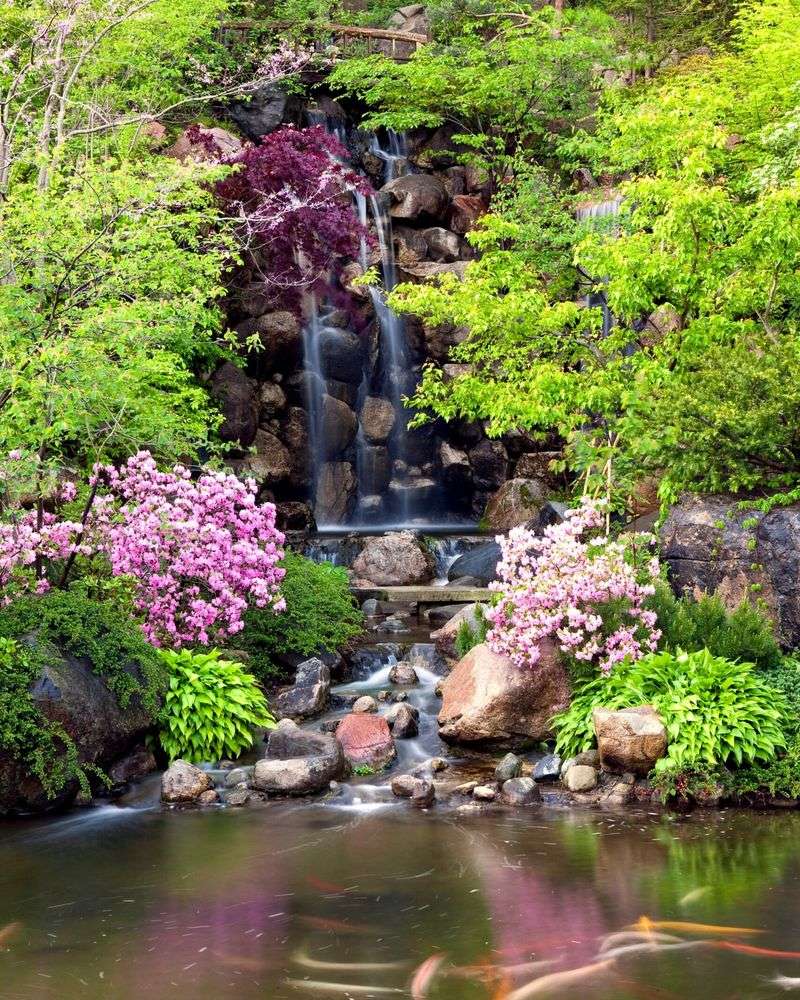 Anderson Japanese Gardens' World-Class Design