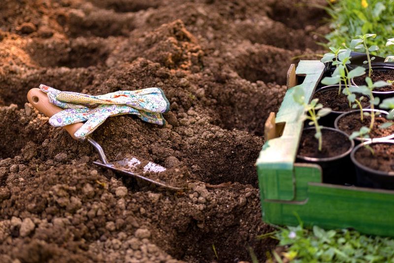 Fewer Pests to Battle