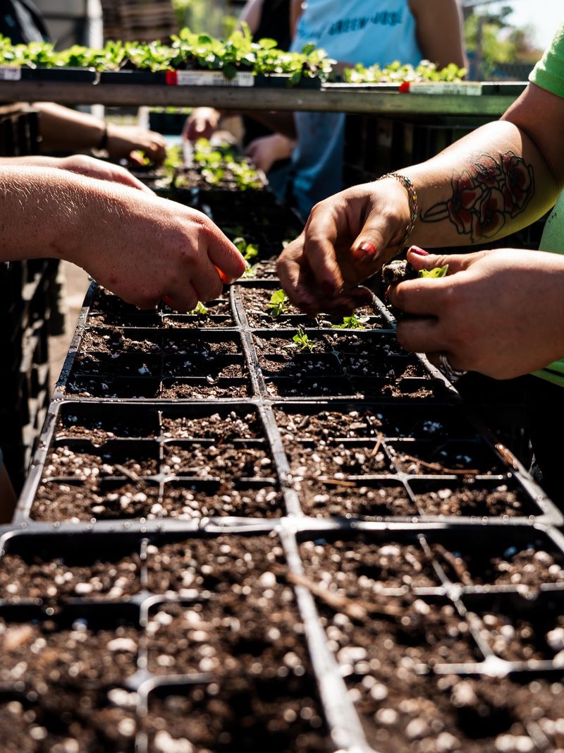 Natural Solution For Short Growing Seasons