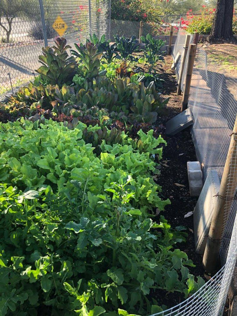 Extend Your Growing Season