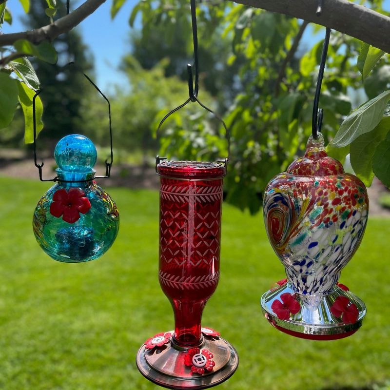 Hang Multiple Feeders Out Of Sight From Each Other