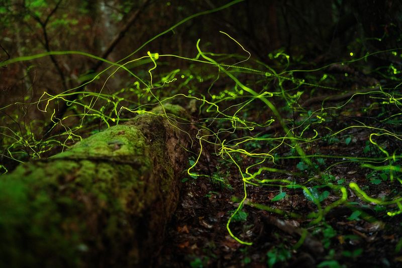 Climate Change Alters Seasonal Timing
