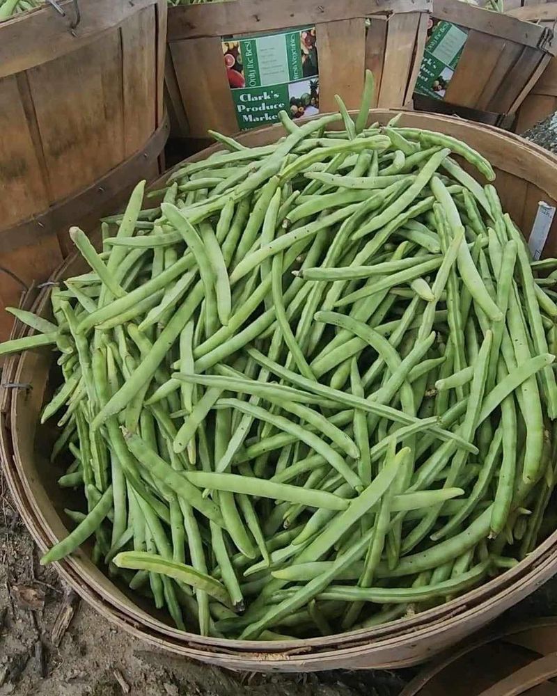 Field Peas