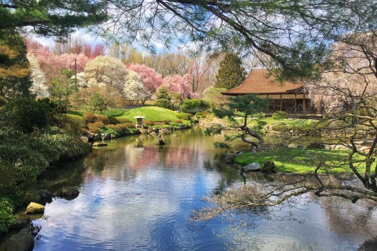 Shofuso Japanese House and Garden