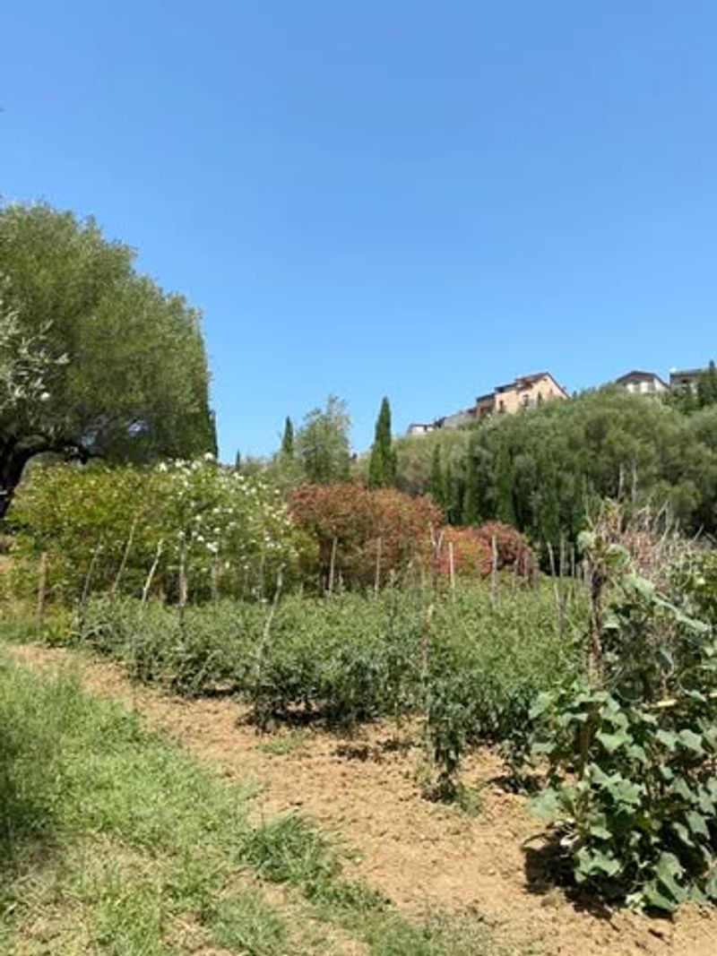 L'Orto di Famiglia