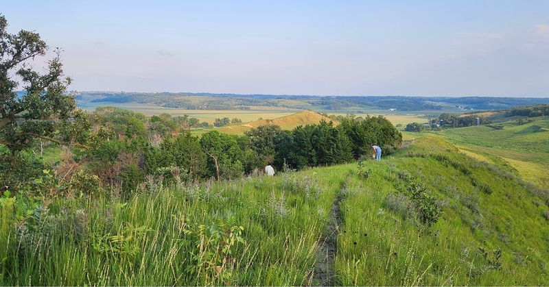 Hitchcock Nature Center's Prairie Remnants