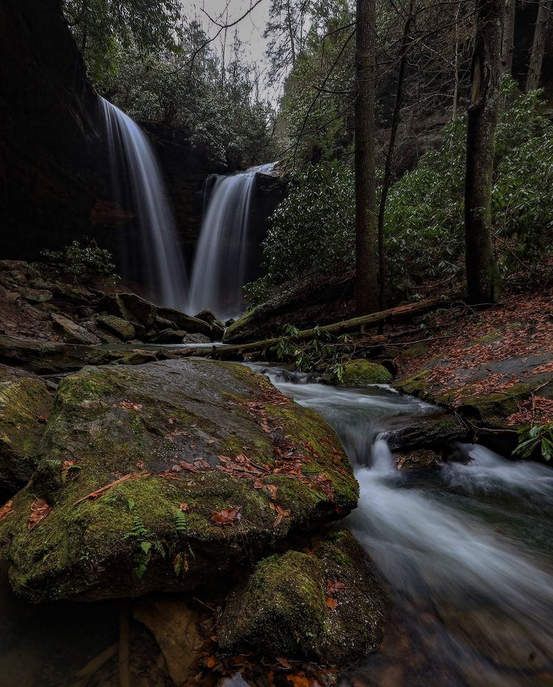 Beaver Creek Wilderness