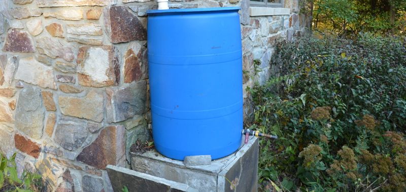 Rainwater Collection In Barrels