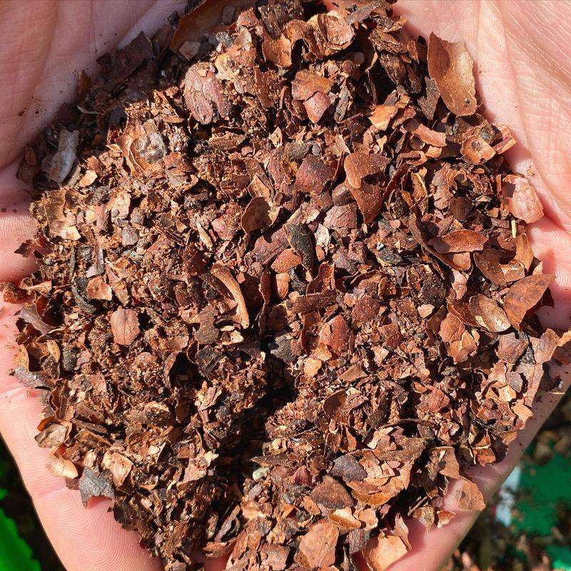 Cocoa Hull Mulch