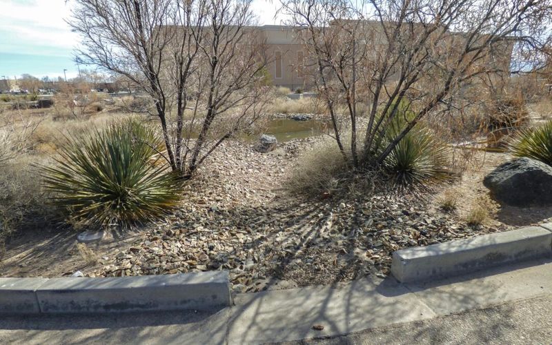 Water-Harvesting Techniques For Desert Gardens