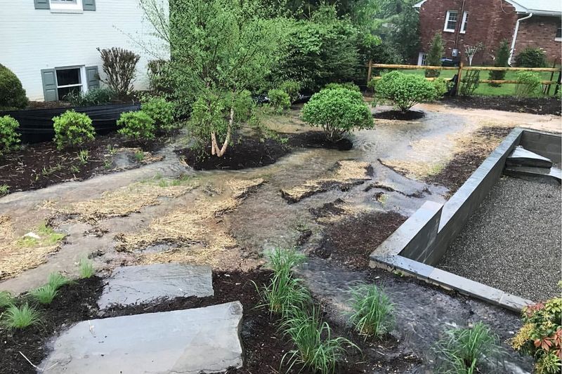 Create A Rain Garden