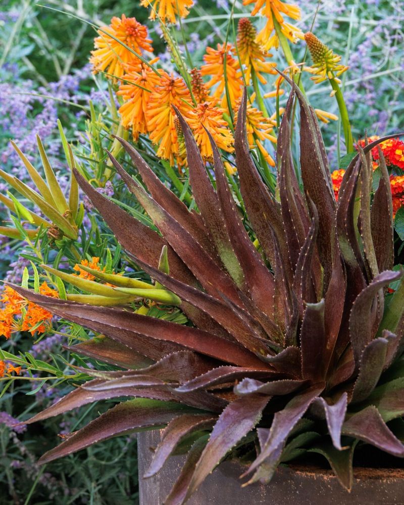 Reduce Watering Schedules