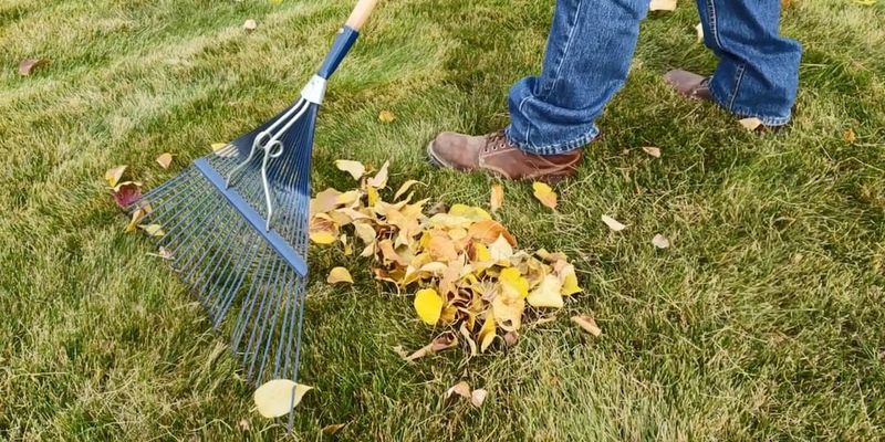 Rake Leaves Strategically
