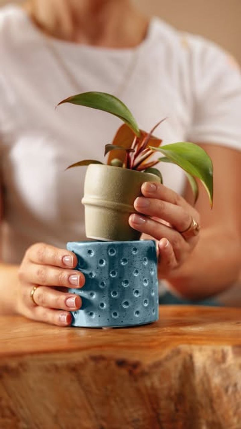 Water Wicking Systems For Container Plants