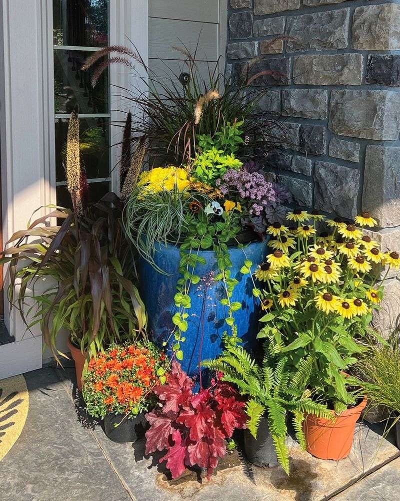 Create A Colorful Fall Container Garden