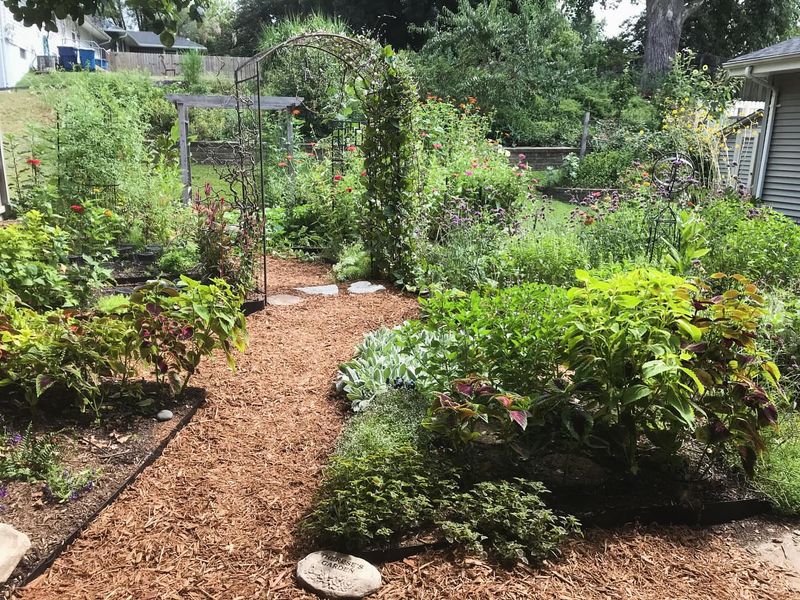 Divide Perennials