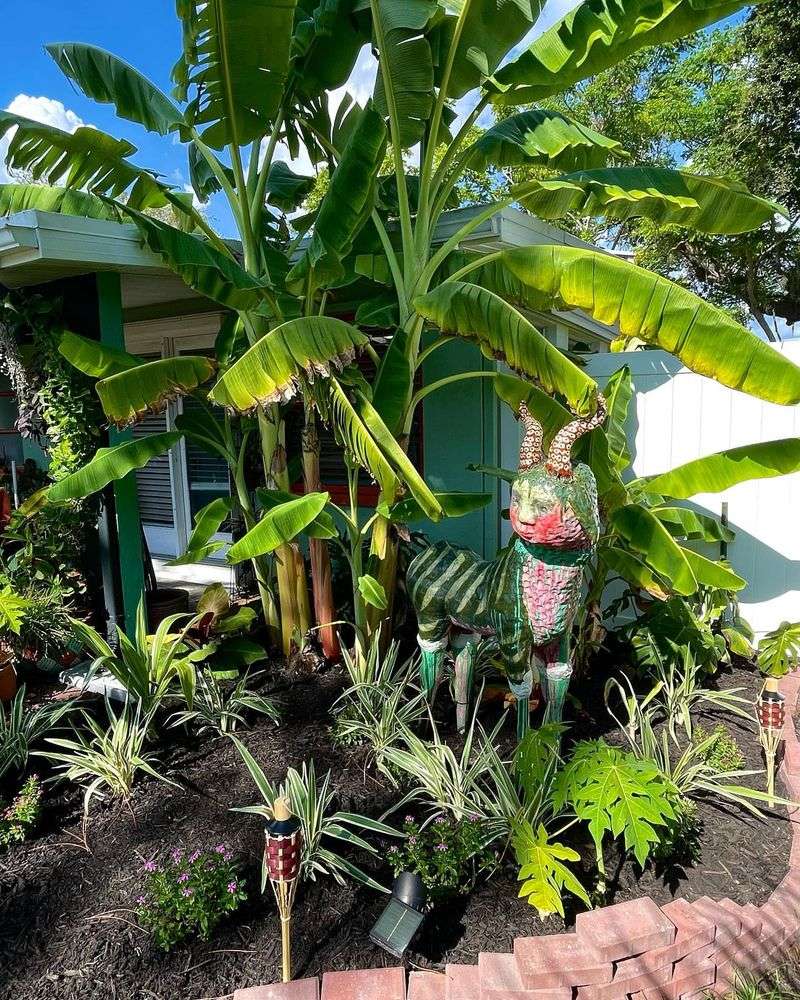 Create A Lush Banana Leaf Backdrop
