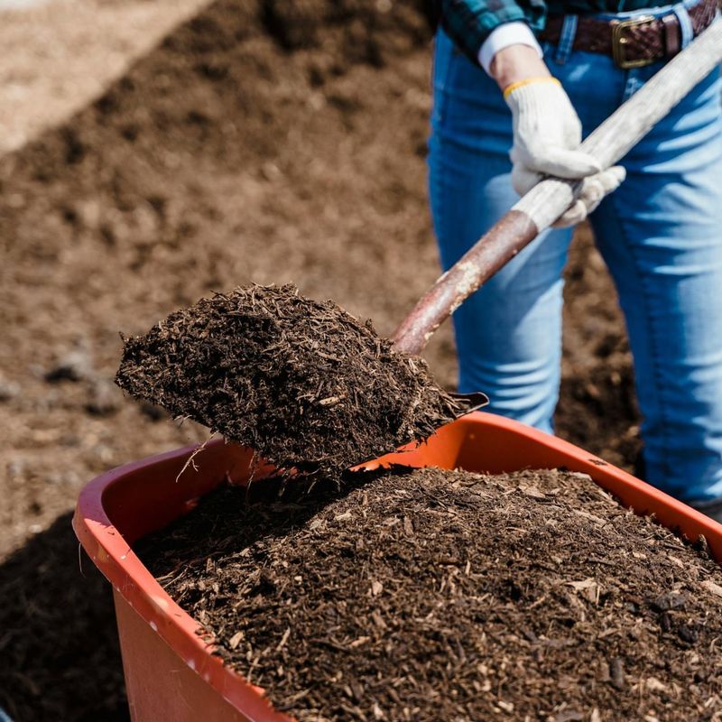 Create Leaf Mulch