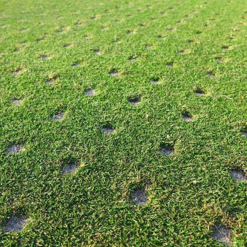 Prepare Lawn for Winter