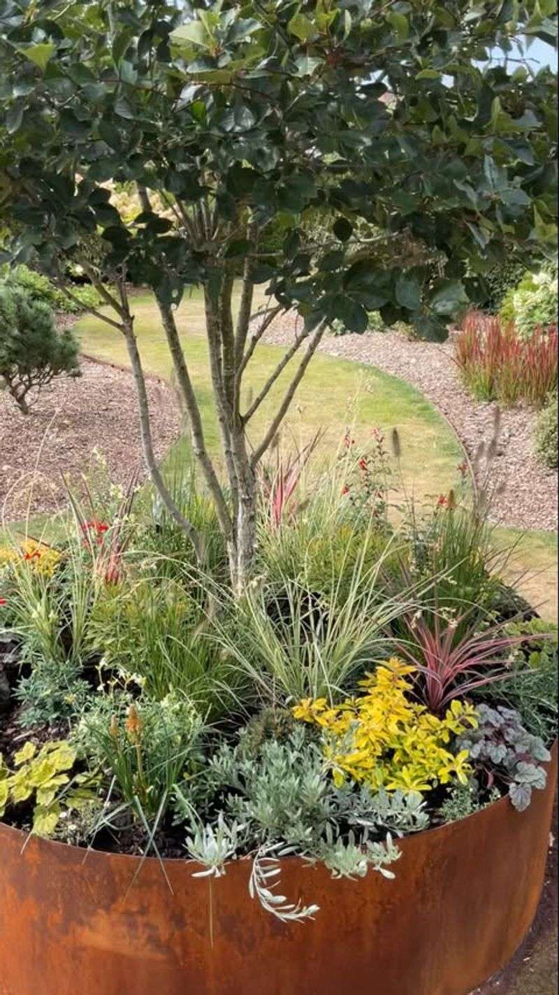 Using Oversized Containers For Small Plants