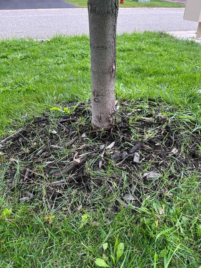 Ignoring Proper Mulch Techniques