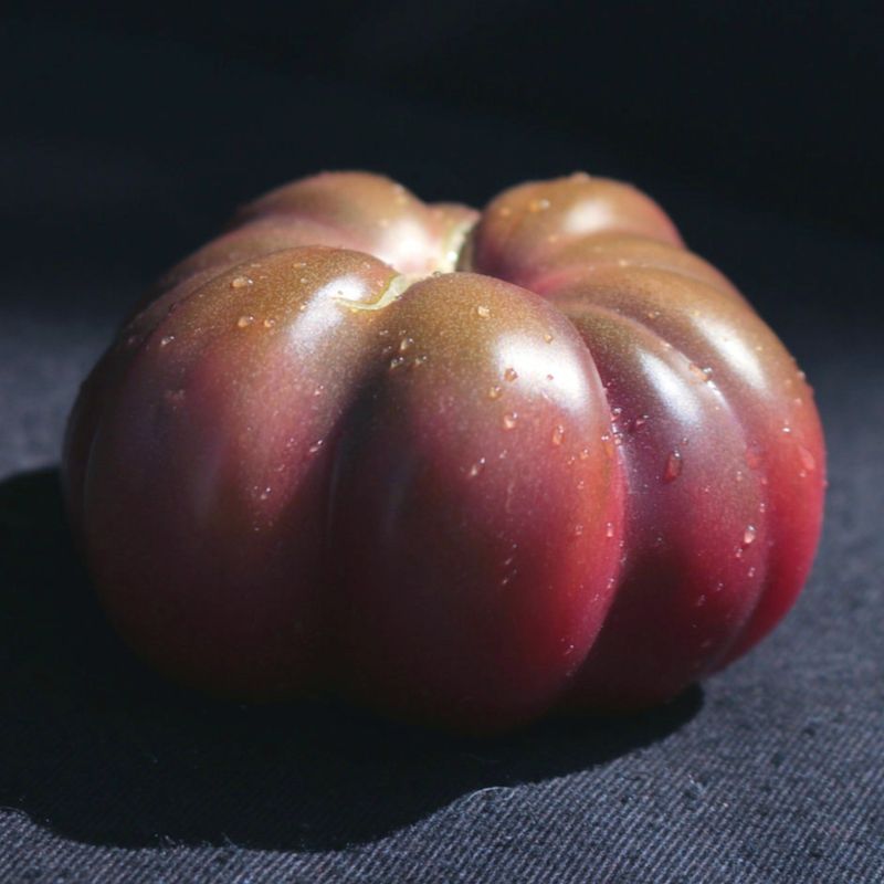 Black Prince